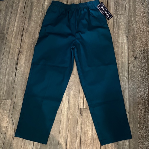 Laura Scott Short Length Pants Lagoon Teal Elastic Waist Womens Plus Size 14 NWT - Picture 1 of 6